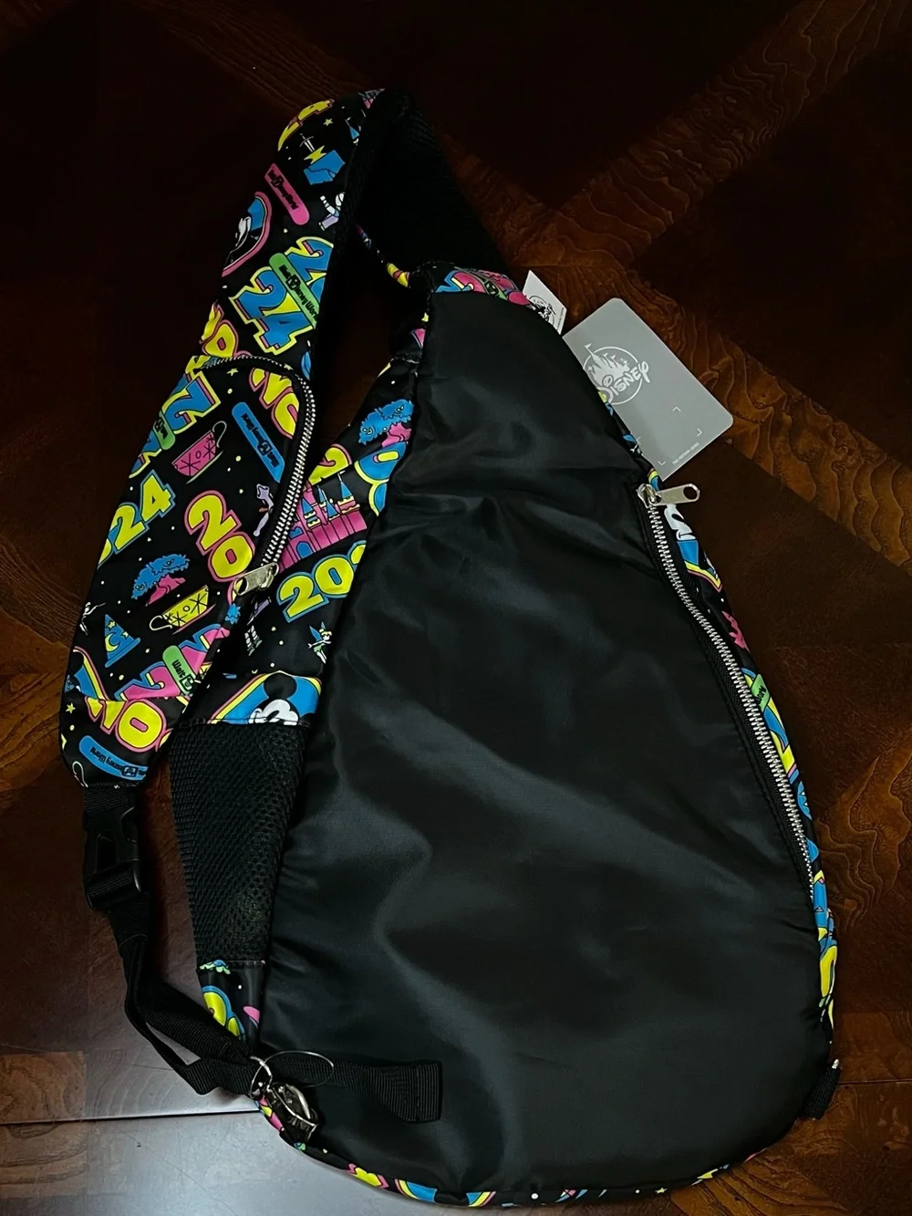 DisneyPark 2024 Backpack